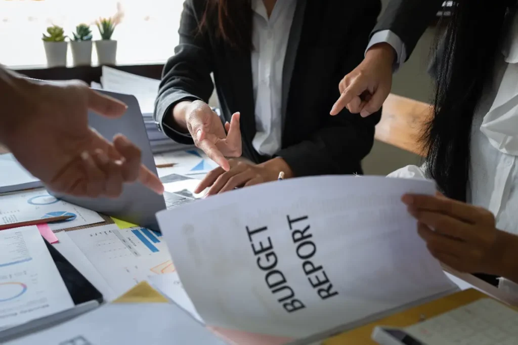 Budget Allocation by Business Type